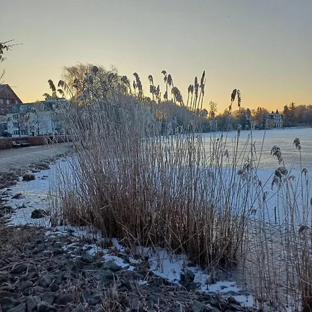 Renate 2 הרינגסדורף